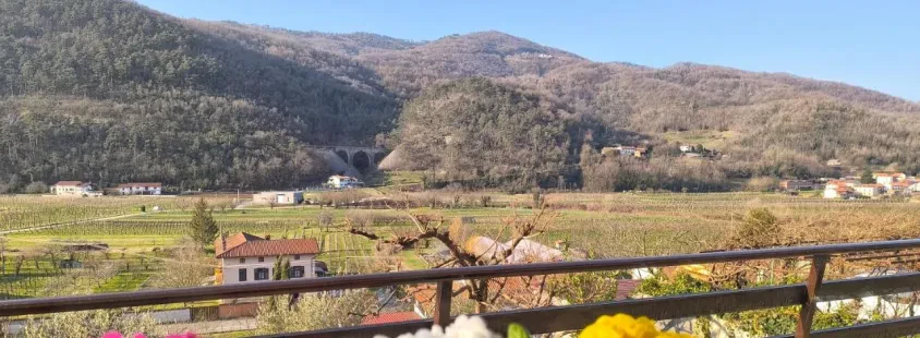 Nočitev, najem apartmaja Branik, Vipavska dolina