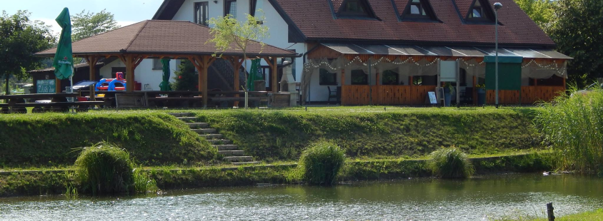 Prostor za zaključne družbe Lendava