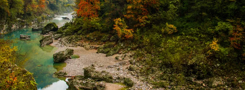 Ribiška družina Nova Gorica
