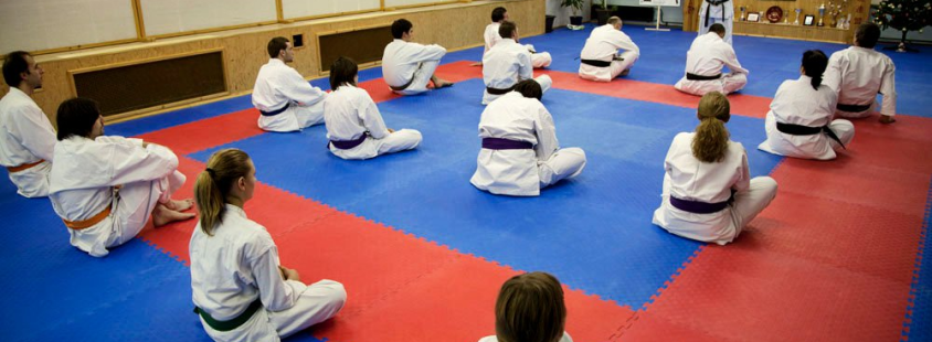Vpis v karate klub Maribor