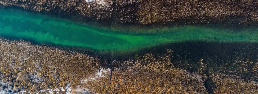 Ribiška družina Osrednja Slovenija