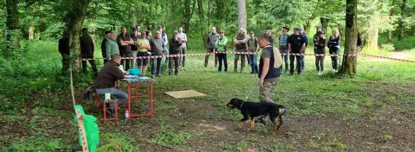 Najboljše kinološko društvo Gorenjska
