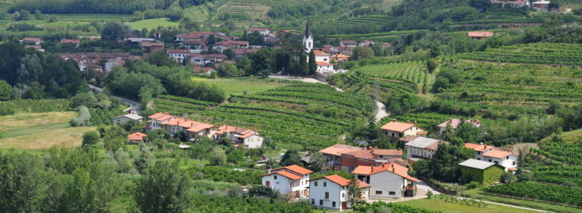 Degustacija buteljčnih vin Goriška