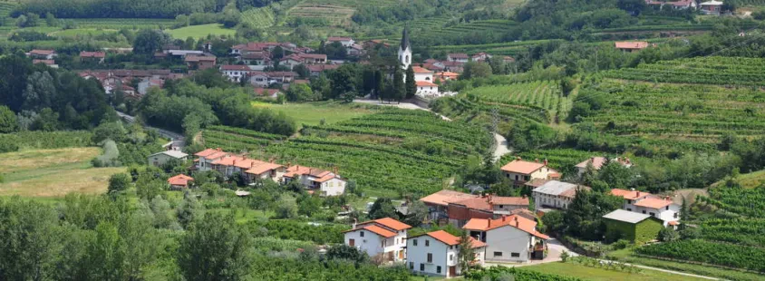 Degustacija buteljčnih vin Goriška