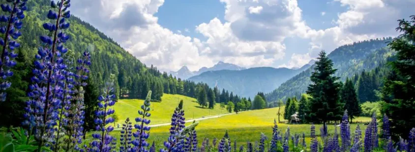 Ugoden najem apartmaja Kranjska Gora