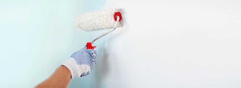 Barvanje in beljenje sten Ormož, Ptuj