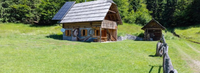 Good apartment Gorenjska