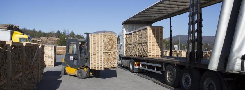 Maloprodaja lesa za kurjavo Primorska