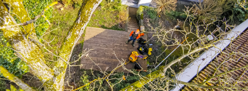 Arboristika in čiščenje žlebov, Slovenija
