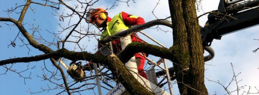 Storitve z avtodvigalom Gorenjska