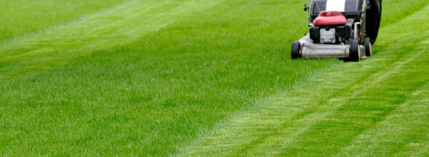 Kvalitetno polaganje trave in urejanje okolice Osrednja Slovenija