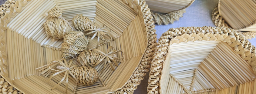 Obisk muzeja Pomurje