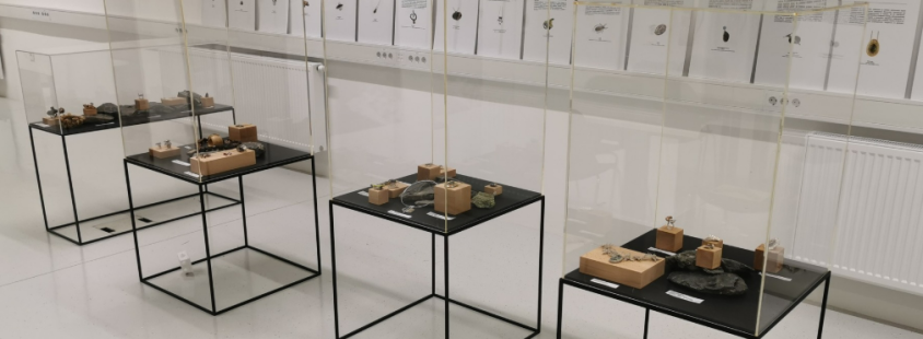 Mednarodni dnevi mineralov, fosilov in okolja – Minfos