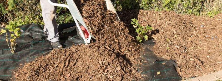 Mulčenje trave Štajerska, Hrvaška