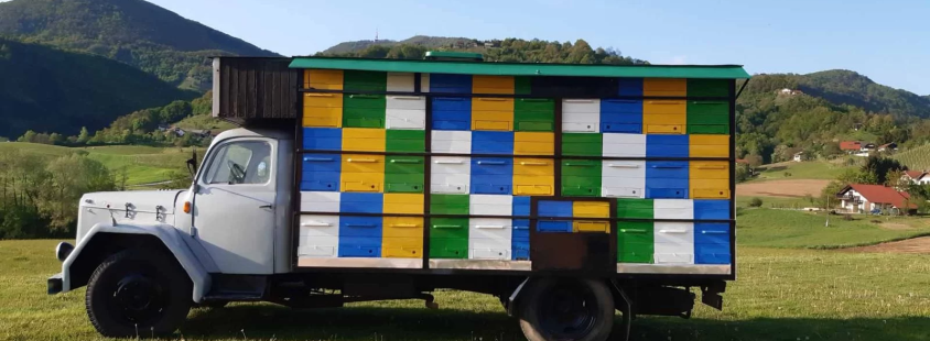 Poslovna darila Savinjska, Slovenija