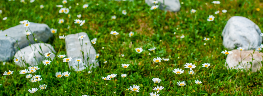Kanaliziranje angelskih sporočil Slovenija