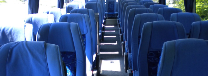 Ugodni avtobusni prevozi oseb, Slovenija, tujina