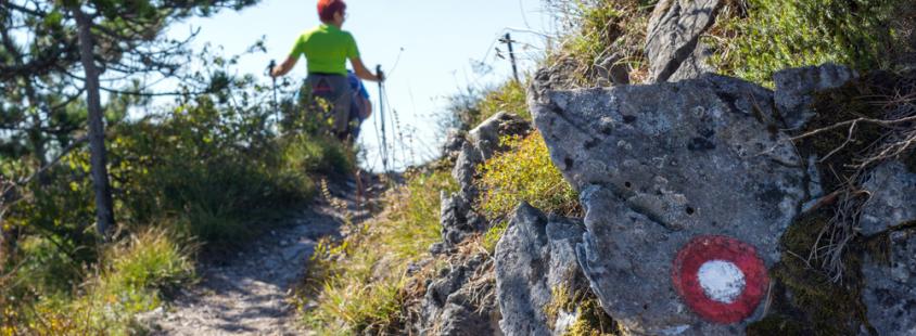 Vpis v planinsko društvo Jugovzhodna Slovenija, Velike Lašče