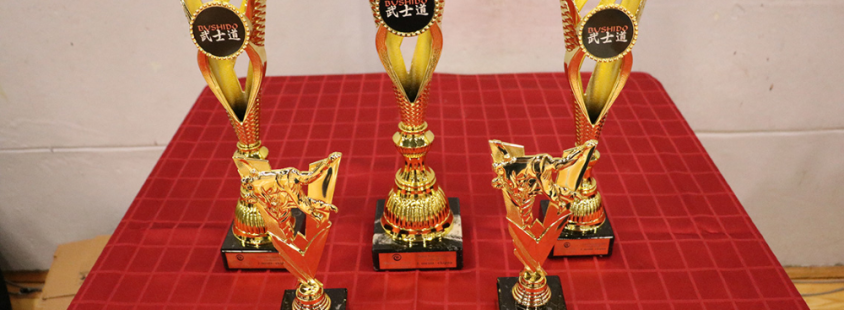 Judo klub Novo mesto