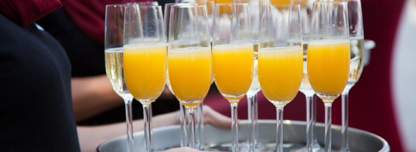 Ugoden prostor za zaključene družbe Dolenjska