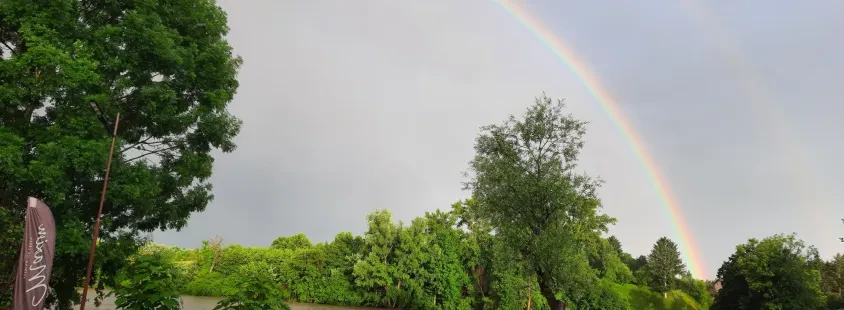 Najem prostora za praznovanje porok Bela krajina, Slovenija