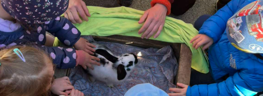 Delavnica in doživetja za otroke Savinjska