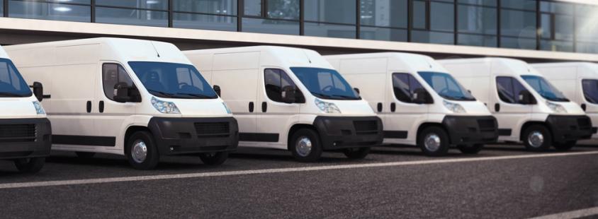 Hitra dostava paketov Goriška