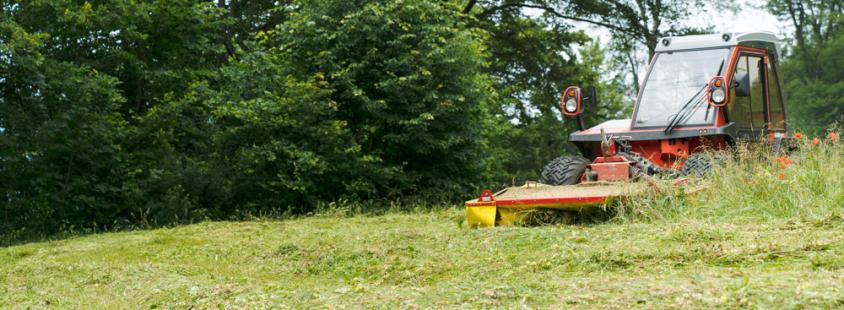 Čiščenje zaraščenih površin Štajerska, Hrvaška