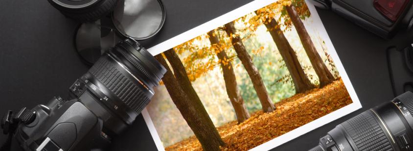 Foto in video krožki Savinjska