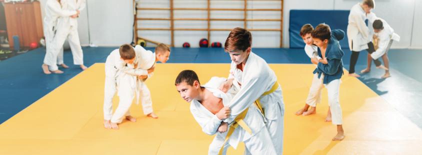 Tečaj Sankukai karateja Medvode, Ljubljana