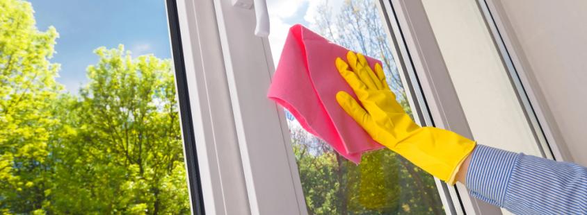 Generalno čiščenje poslovnih prostorov in stanovanj Goriška