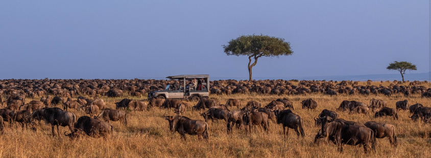 Potovalna agencija v Kenijo, Namibijo, Madagaskar, Indijo