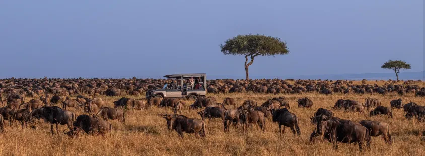 Potovalna agencija v Kenijo, Namibijo, Madagaskar, Indijo