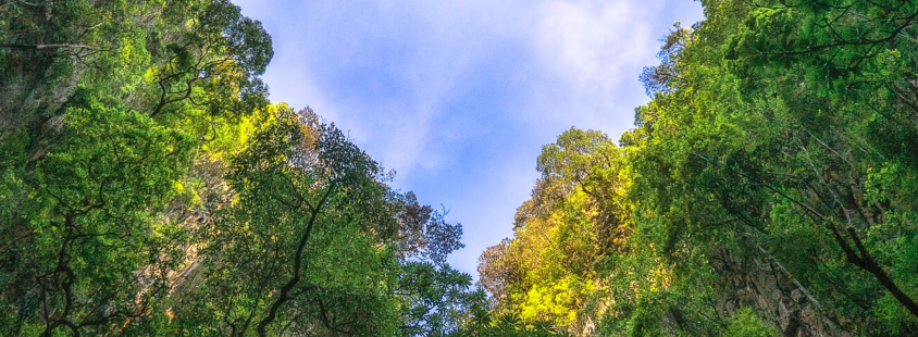 Pridobivanje sekundarnih surovin in predelava Podravska