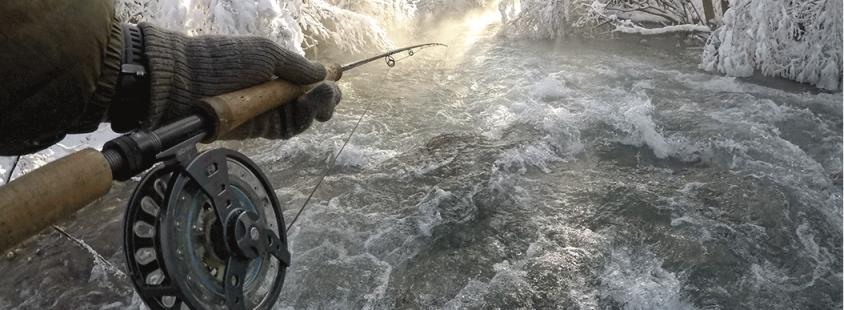 Organized fly fishing trips Slovenia