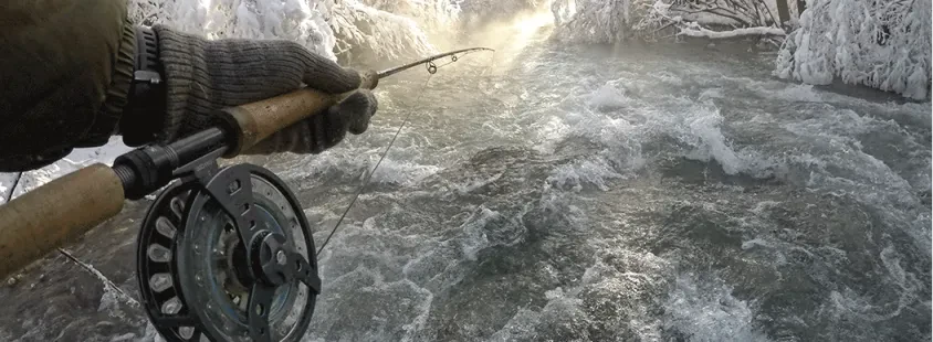 Organized fly fishing trips Slovenia