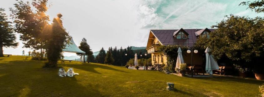 Sobe in apartmaji Zreče, Slovenija