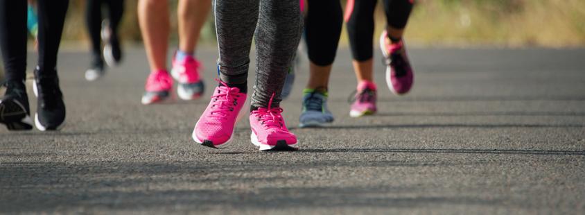 Brezplačne fit vadbe Slovenska Bistrica, Ptuj, Maribor