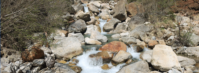 Organized hucho fishing Slovenia
