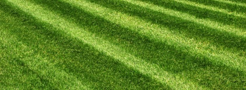 Čišćenje zaraslih površina Hrvatska