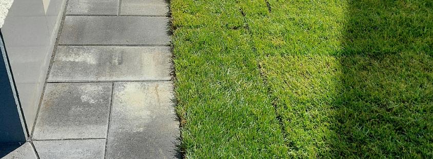 Urejanje in vzdrževanje okolice Osrednja Slovenija