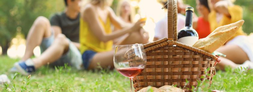 Najem piknik prostora Oplotnica, Podravska