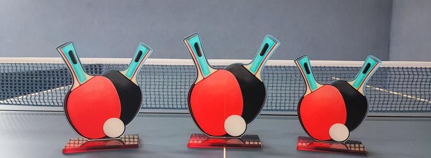 Športno društvo Partizan Semič Bela krajina