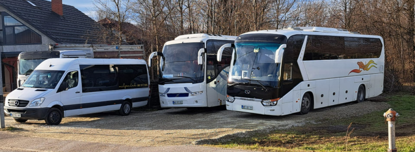 Avtobusni prevozi oseb Pomurje, Slovenija