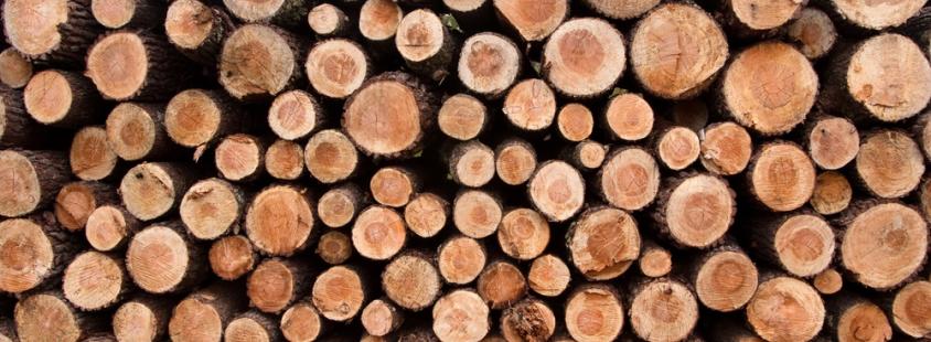 Žaganje in skobljanje lesa Maribor