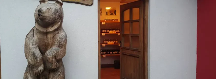 Kvalitetni medeni izdelki Metlika