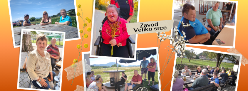 Kvalitetna osebna asistenca Slovenija