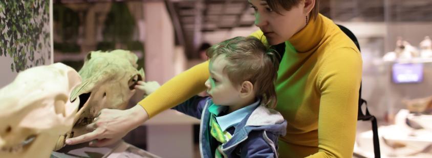 Državni muzej z naravoslovno, znanstveno in pedagoško vsebino Slovenija