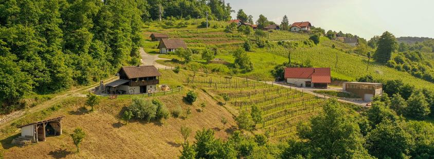Degustacije vin in nočitve v zidanici Dolenjska