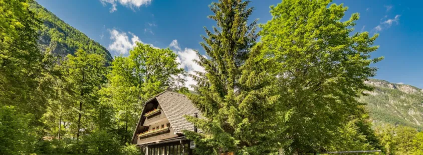 Družinski apartma Bohinjsko jezero
